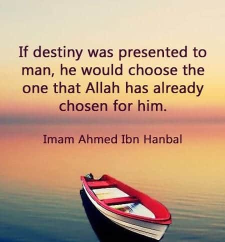 fate and destiny in islam