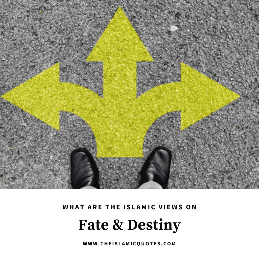 what is fate and destiny in islam