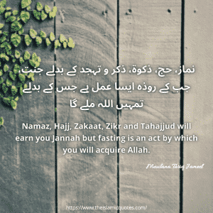 Islamic quotes by maulana tariq jameel