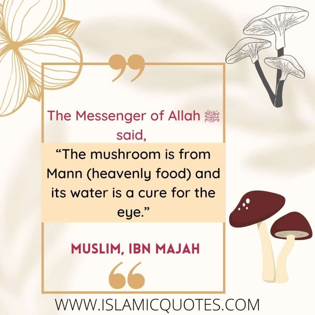 15 of Prophet Muhammad's Favorite Food Items & Their Benefits  