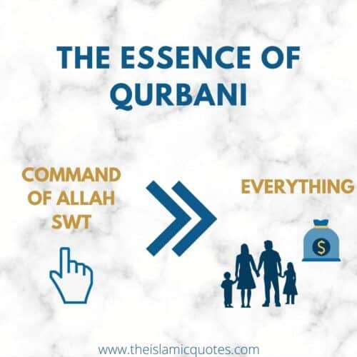 12 Things You Need to Know About Eid ul Adha & Qurbani Rules