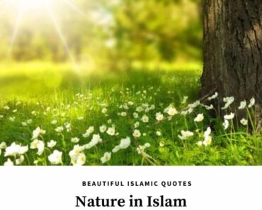 islamic quotes on nature