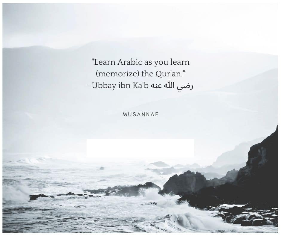 reasons to learn arabic