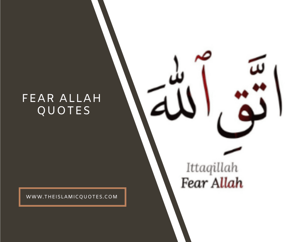 12 Fear Allah Quotes from the Quran and the Hadith  