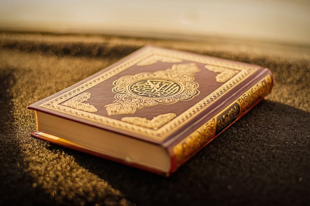 10 Best Islamic Books for Adults to Learn Islam Better  