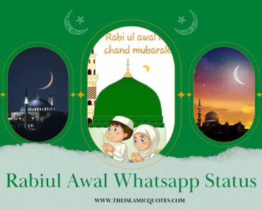 15 Rabi Ul Awal WhatsApp Status 2024 Eid Milad un Nabi ﷺ  