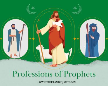 Exemplary Professions of the Prophets in Islam  